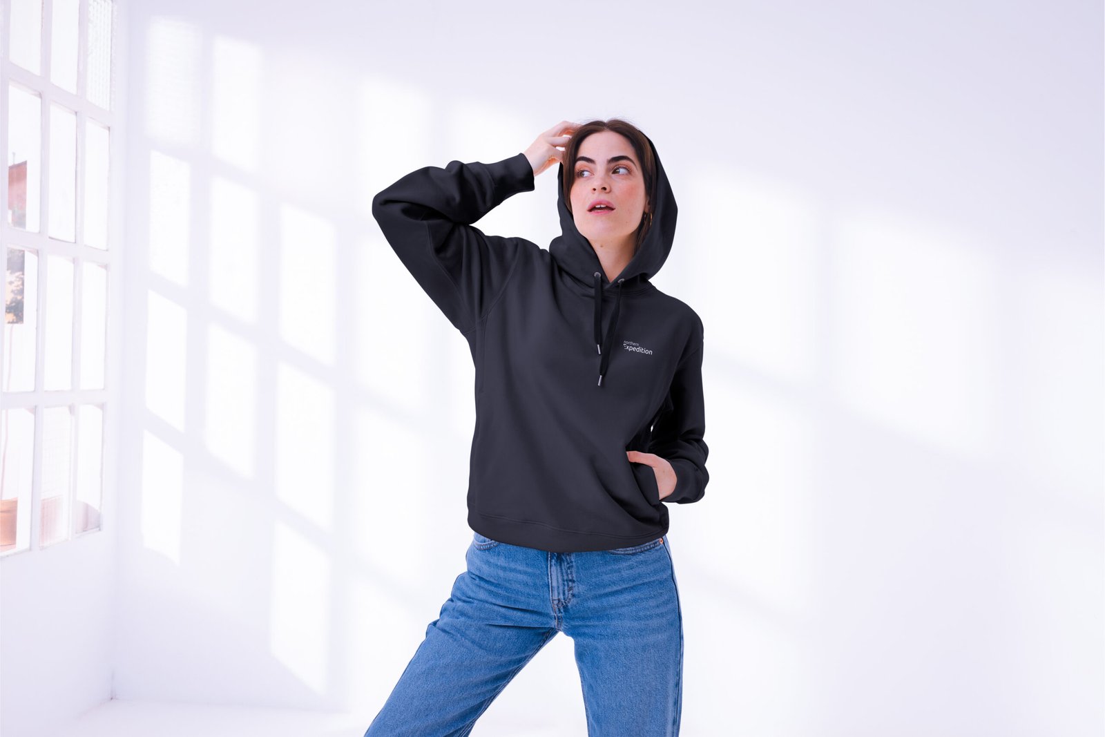 Sweater Hoodie Northern Expedition - Gambar 2